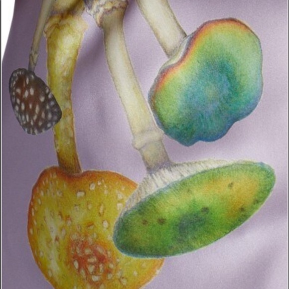 RODARTE LAVENDER MUSHROOM PRINTED SILK SATIN CAPE GOWN - Picture 9 of 16